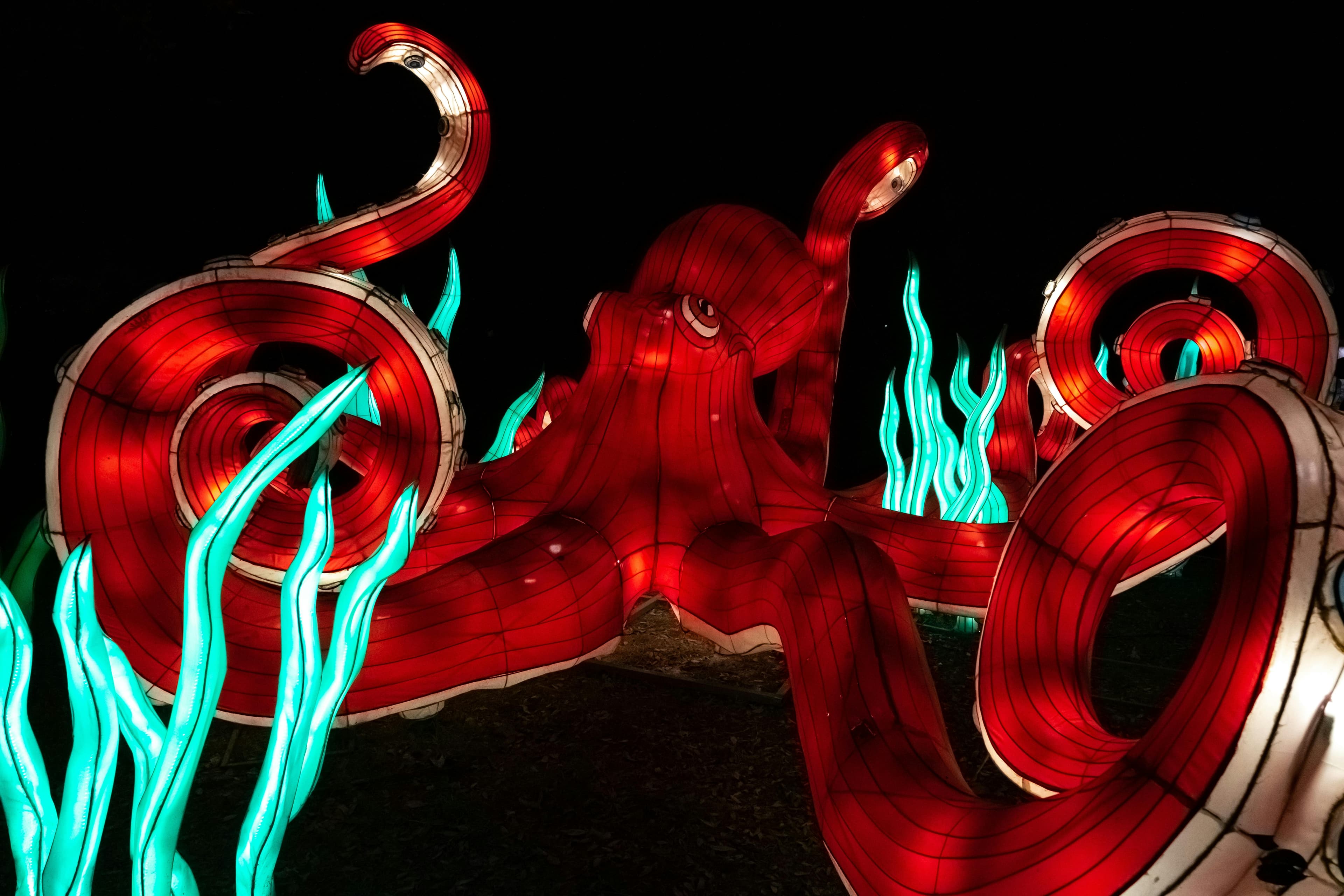 Affordable Healthcare: Free and Low-Cost Health Programs for Florida Residents Aged 30-49